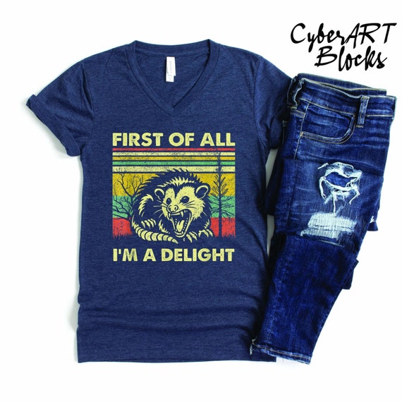First Of All I'm A Delight Sarcastic Angry Opossum Lover V Neck Shirt, Cute Sarcastic Crew Neck Shirt, Sarcastic Self Love Shirt, Animal Tee