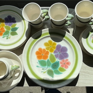 Franciscan Floral Earthenware Oven Safe Dinnerware India