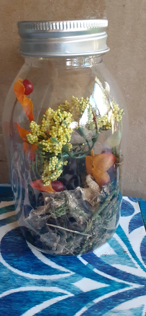Garden/forest in a Jar Etsy