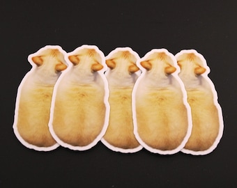 Chonker Flamepoint Siamese Cat Sticker Set of (5) FIVE