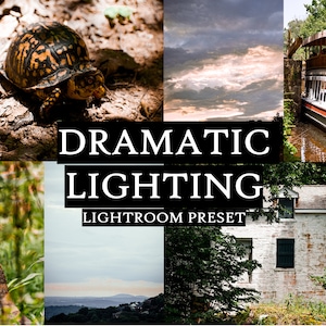 May include: A collage of images showcasing a Lightroom preset called "Dramatic Lighting". The images include a turtle on the forest floor, a cloudy sky, a boat on a canal, a turkey in the woods, a mountain range, and a white building with green trim.