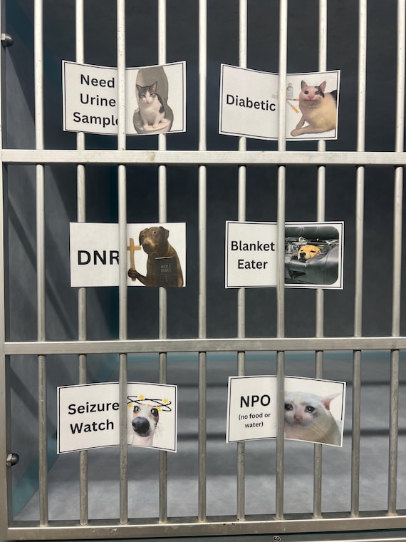 Veterinary Cage Cards - Etsy