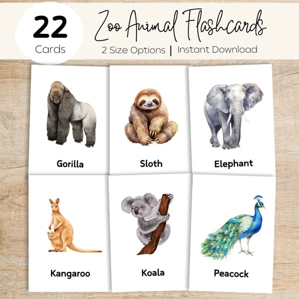 Zoo Animal Flashcards - Toddler Preschool Early Learning Resource - Learn Safari Animals - Homeschool Printables - Montessori Flashcards