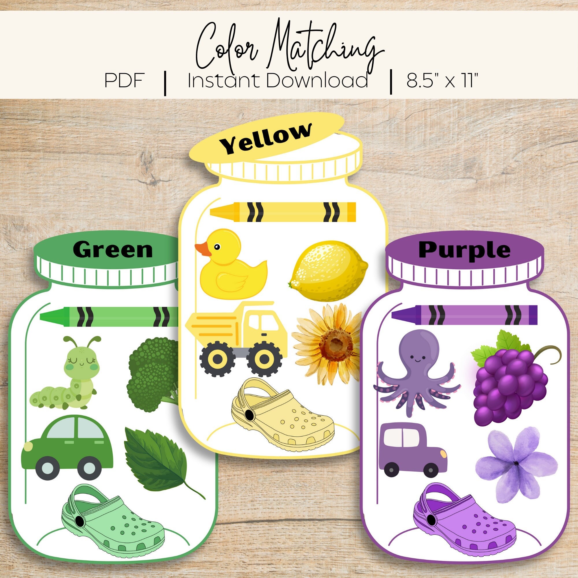Color Matching Activity for Kids Homeschool Color Sorting Printable