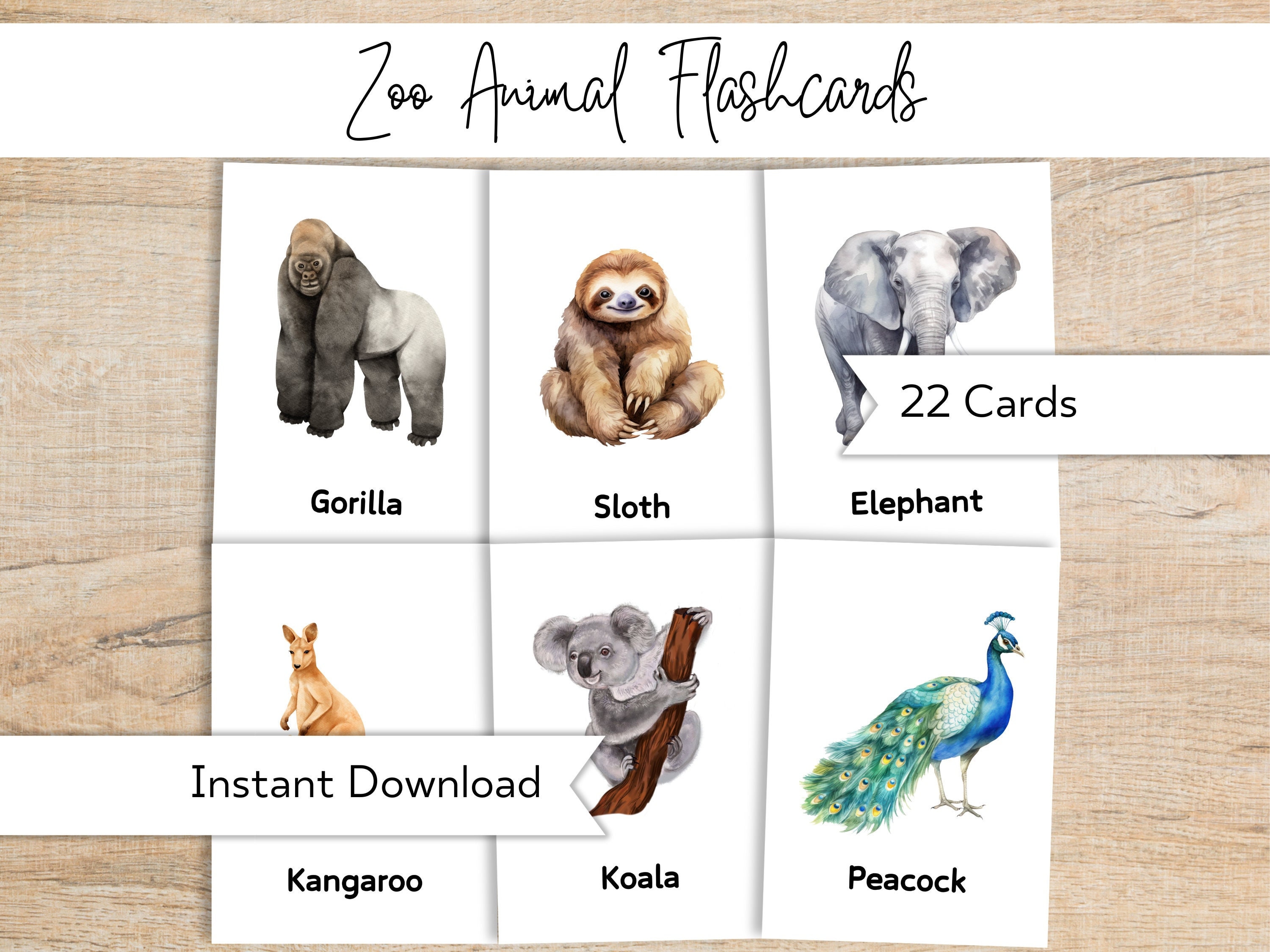 Zoo Animal Flashcards - Toddler Preschool Early Learning Resource - Learn Safari Animals - Homeschool Printables - Montessori Flashcards