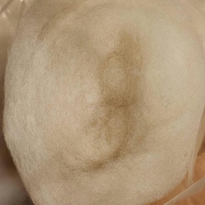 May include: A circular mass of off-white, unspun raw wool fiber with a soft, fluffy, and fibrous texture. The material appears loosely packed and airy, showing natural variations in the cream-colored strands throughout the entire surface.