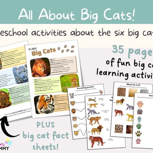 Big Cats Unit Study | Preschool & Kindergarten Learning Binder | Lions, Tigers, Cheetahs, Wild Cats Activities | Busy Binder | Digital File