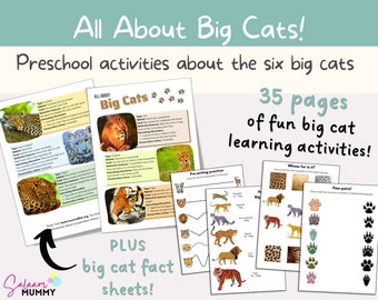 Big Cats Unit Study | Preschool & Kindergarten Learning Binder | Lions, Tigers, Cheetahs, Wild Cats Activities | Busy Binder | Digital File