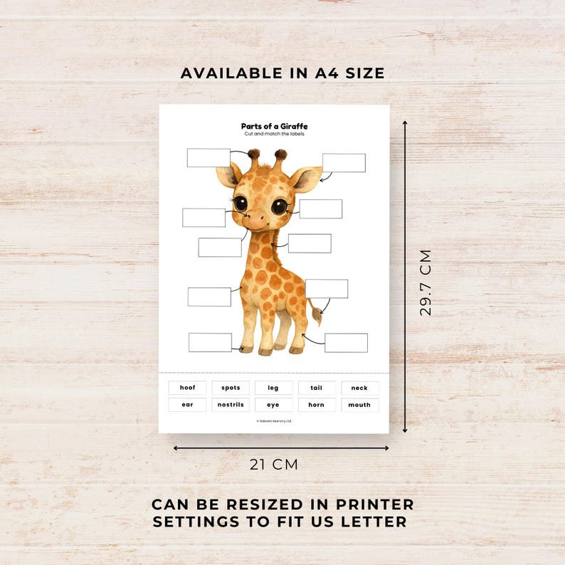 Parts of a Giraffe Labelling Activity, Cut & Paste Safari Animal ...