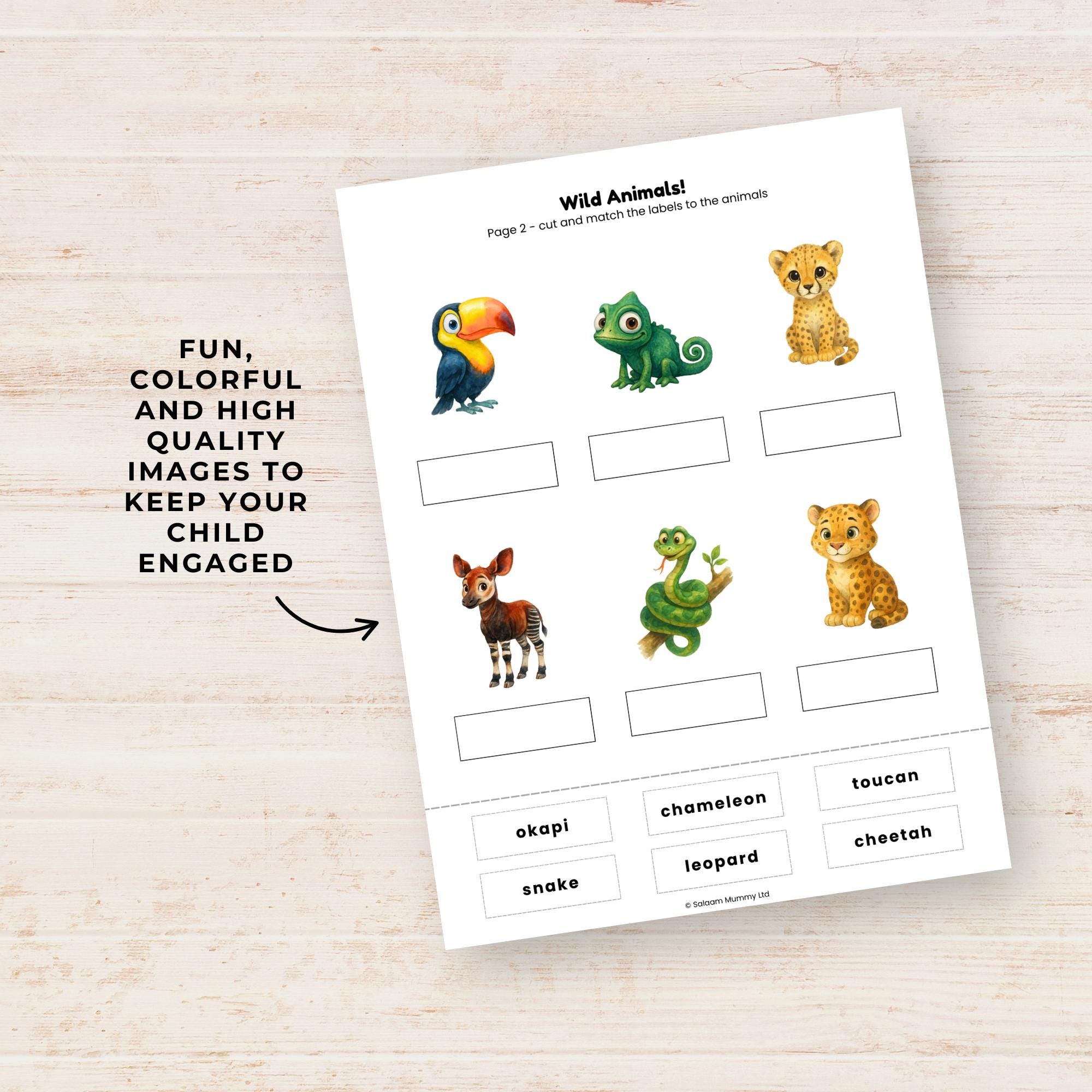 Wild Animals Labelling Worksheets, Cut & Paste Vocabulary Matching ...