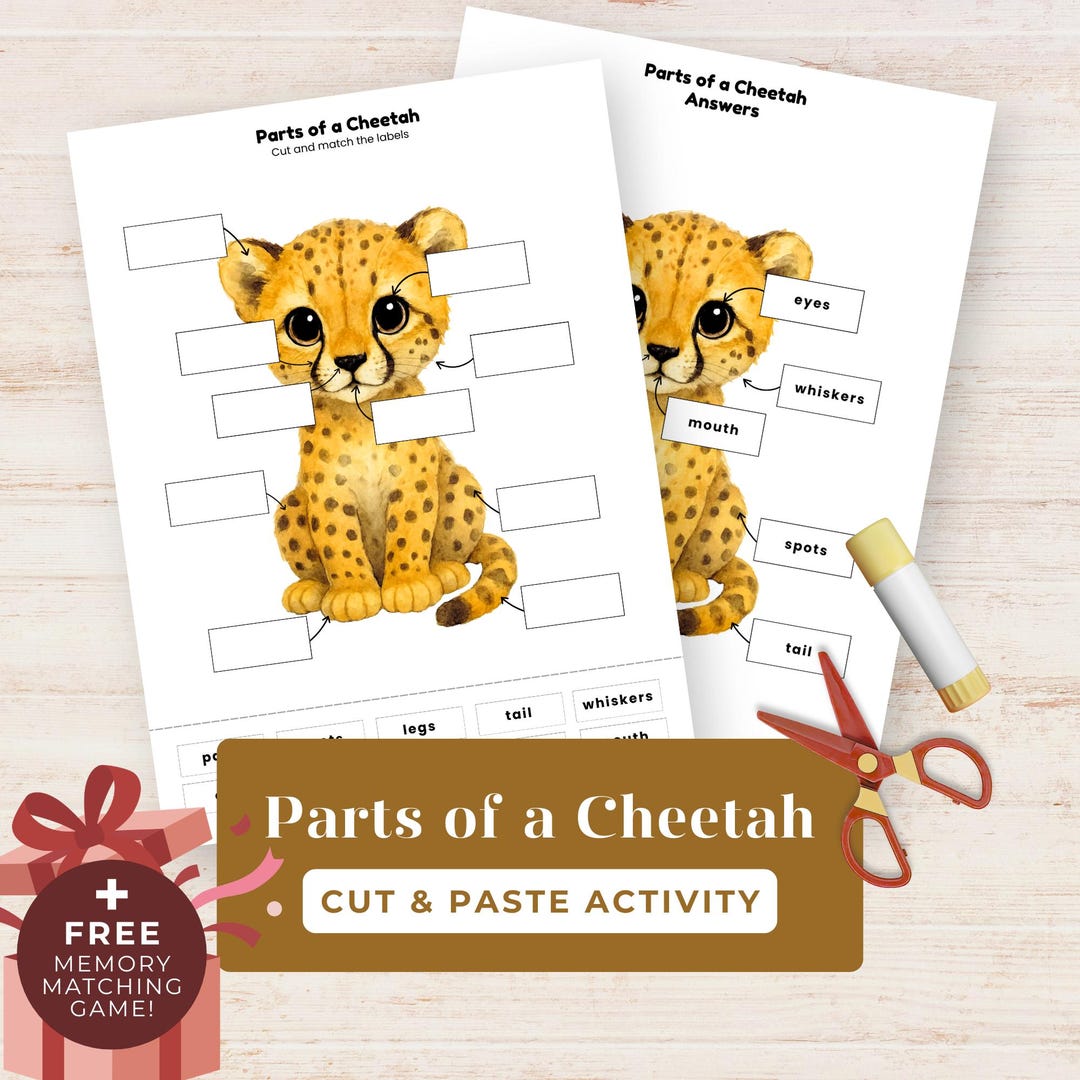Parts of a Cheetah Labelling Activity, Cut & Paste Animal Anatomy ...