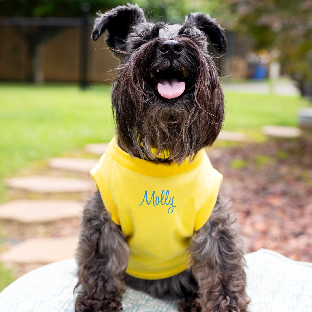 Add Their Name — Dainty and Dapper Pet — Must Be Purchased With an