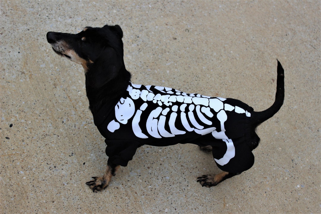 Skeleton Dog Costume for Halloween Funny Dog Costume Costume Etsy UK