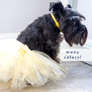 Custom Wedding Tutu for Dog Skirt for Party Dress for Pet Outfit for Birthday Celebration Tulle Flower Girl Dog Ballerina Costume Adjustable