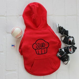 Dog Shirt For Dog Anxiety Shirt Funny Dog Sweatshirt Warm Pet Hoodie for Puppy Clothes for Small Dog Tshirt for Cat Sweater for Large Dog