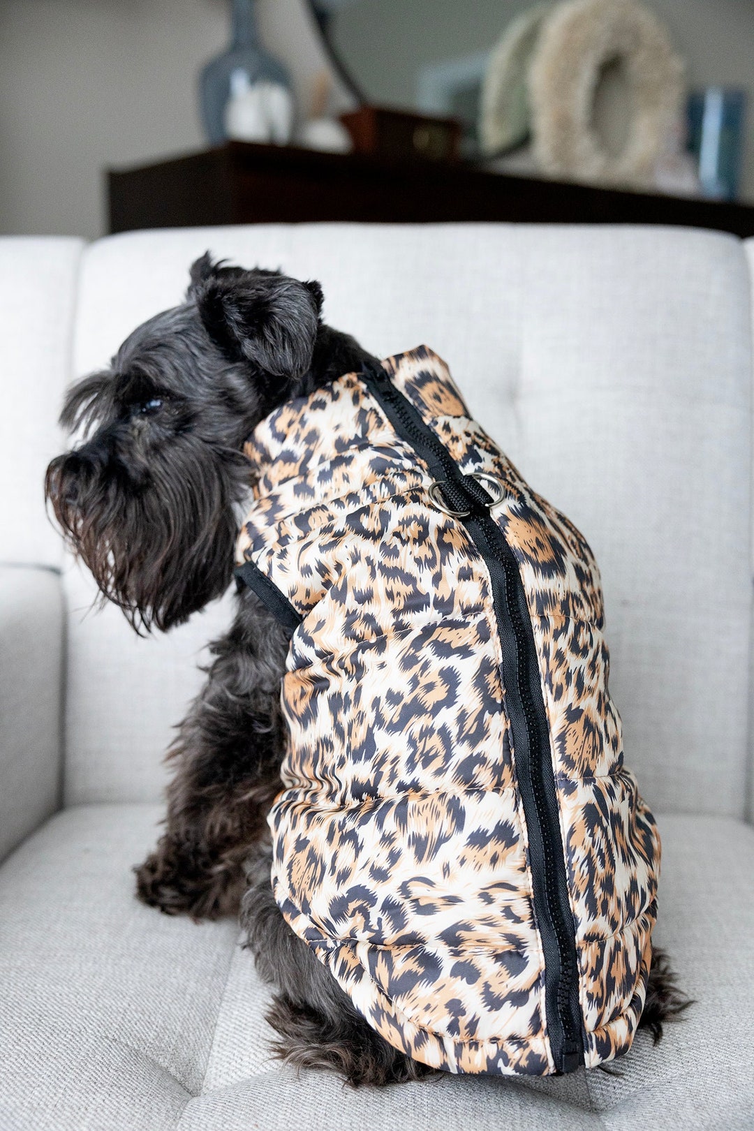 Leopard Print Dog Coat Jacket for Girl Dog Cute Dog Coat - Etsy