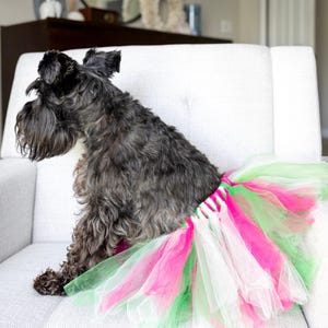 Summer Dog Outfit for Birthday Party Celebration Puppy Clothes for Small Pet Outfit for Cat Tutu Dog Dress Formal Wedding Party Dog Skirt