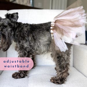 Dog Dress for Party Reveal Baby Shower Custom Color Tutu Skirt for Pet Clothes for New Pup Apparel for Medium Breed Dog Mom Gift Cat Lover