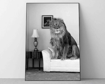 Lion Seating on Sofa Print, Black and White Poster Vintage Timeless Funny Home Decor Wall Art Museum Quality Photo Art Print