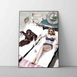 Puede incluir: Una mujer en bikini azul y gafas de sol se relaja en una tumbona blanca junto a un chimpancé que lleva gafas de sol. El chimpancé también está en una tumbona blanca. Hay una sombrilla de playa azul y blanca a rayas en el fondo.