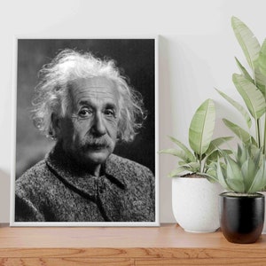 May include: Black and white portrait photograph of Albert Einstein, a famous physicist, with his hair styled in a messy, unkempt look. The photo is framed in a white frame and displayed on a wooden table with two potted plants.