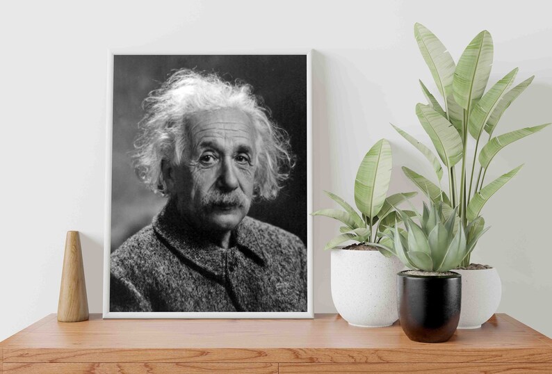 May include: Black and white portrait photograph of Albert Einstein, a famous physicist, with his hair styled in a messy, unkempt look. The photo is framed in a white frame and displayed on a wooden table with two potted plants.