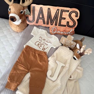 Placa com nome de bebê para berçário - Placa de madeira personalizada - Presente para chá de bebê - Acessório para anúncio de nascimento - Arte de parede personalizada
