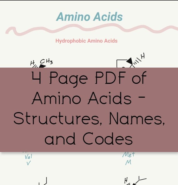 Amino Acids Structures Names Handwritten Study Guide/cheat Etsy