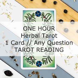 Lectura de tarot de una hora > Una pregunta // Una carta - Lectura de tarot a base de hierbas > Mensajero de respuesta escrita de una sola carta, respuesta a cualquier pregunta