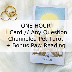 Lecture de tarot d'une heure > Une question // Une carte - Lecture d'animaux de compagnie canalisée > Messagerie de réponse écrite à une carte