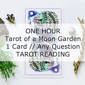 Une heure de lecture de tarot > Une question // Une carte - Tarot d'une lecture du jardin de la lune > lecture d'oracle de messager de réponse écrite d'une seule carte
