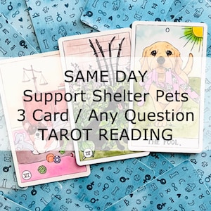 Lecture de tarot le même jour > Trois cartes // Pour toute question - Lecture de tarot pour chiens > don de charité oracle messenger réponse donner à un animal dans le besoin