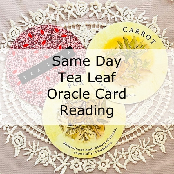 Same Day Tea Leaf Fortune Reading > General OR One Question > written response messenger question and answer oracle cards