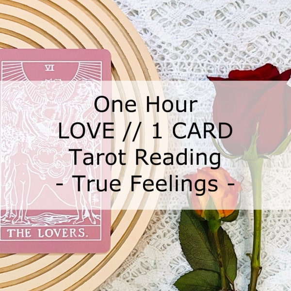 One Hour Tarot Reading > LOVE - How They Really Feel // One Card > single card written response messenger general real honest feelings