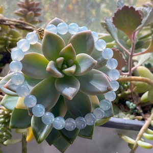 K&ouml;nnte beinhalten: Ein hellblaues Edelstein-Armband mit einem goldenen Verschluss. Das Armband besteht aus runden Perlen und ist auf einer gr&uuml;nen Sukkulente zu sehen.