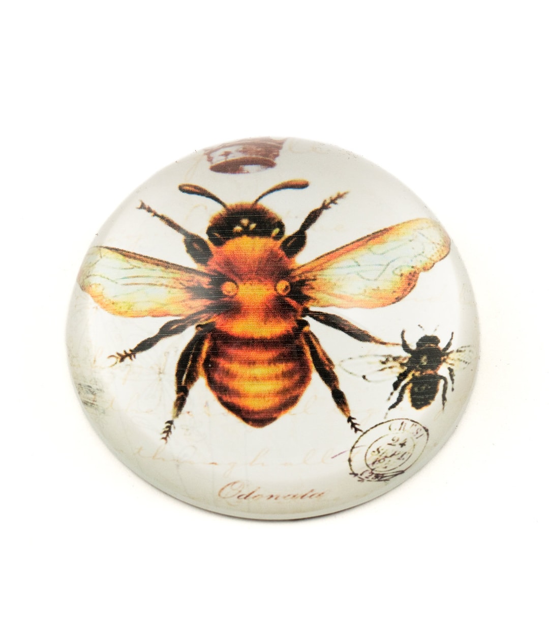 Value Arts Crystal Glass Bumblebee Dome Paperweight - Etsy