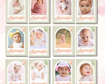 One Silly Goose Photo Banner, Girl 1st Birthday 12 Month Banner, Goose Milestone Banner, Editable Template Silly Goose Baby Picture Banner