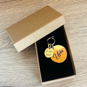 Personalized medallion for cat or dog, with small medal, engraved medal with telephone number, collar for dog, cat