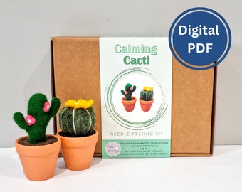Needle Felting Pattern: Calming Cacti Tutorial (PDF Download)