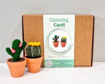 Calming Cacti Felting Kit: Beginner Needle Felting Craft