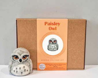Felting Kit, Paisley Owl, DIY Craft, Felting Kit for Adults, Beginners Needle Felting, Owl Lover Gifts