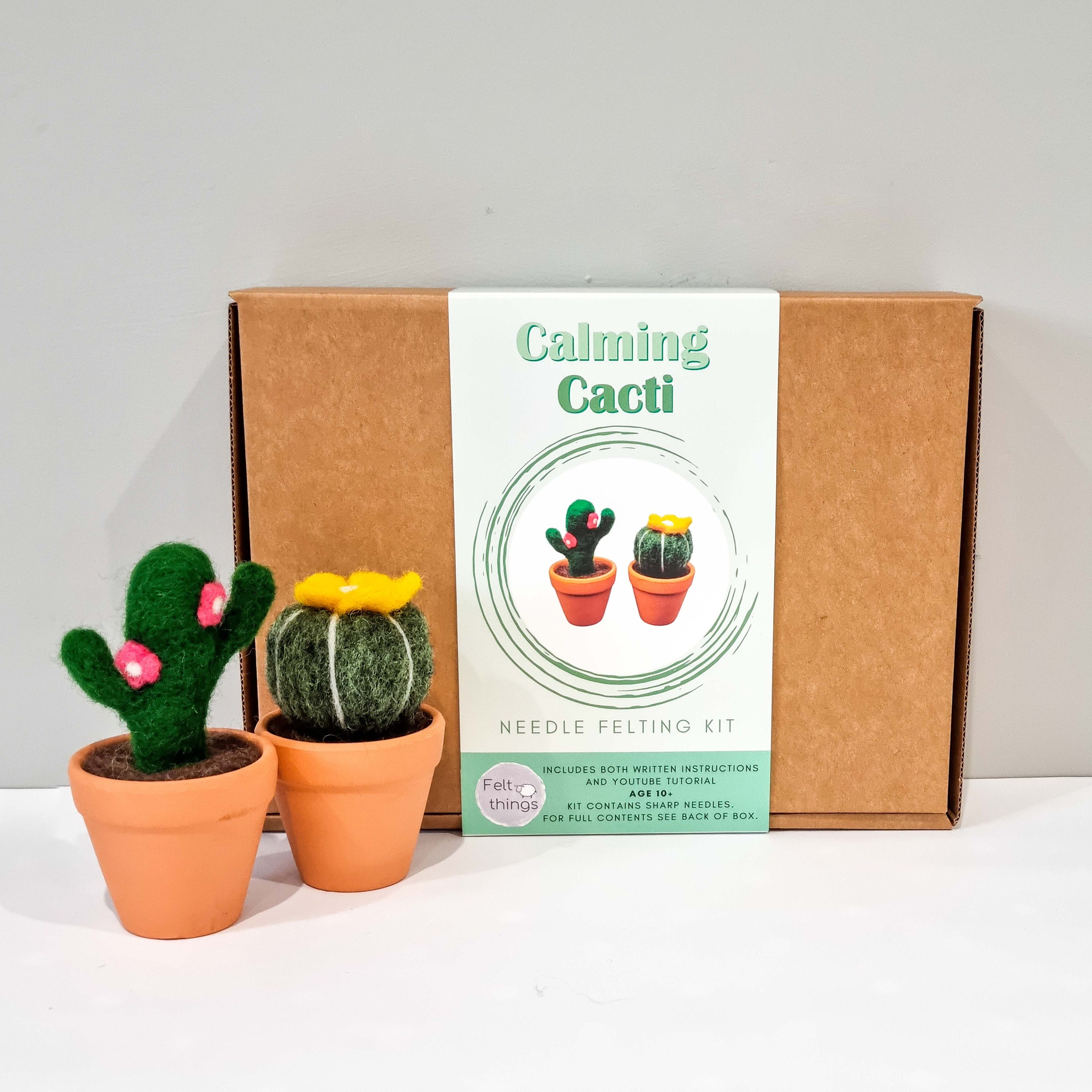 Cactus Craft Kit