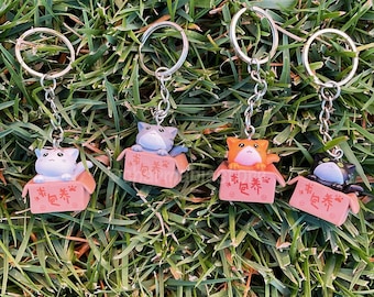 Cat in a Box Keychain