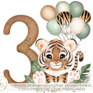 3. Geburtstag PNG, Tiger dritter Geburtstag, Sublimation, 3. Geburtstag Junge, niedliche Dschungeltiere, Safari, Download, dritter Geburtstag Dekorationen