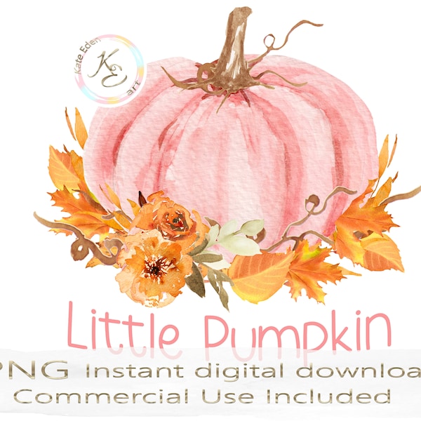 Little Pumpkin PNG, Fall PNG, Pink Pumpkin, Autumn decor, digital download, Thanksgiving PNG, Pumpkin Clipart, Sublimation, Baby Shower, f2