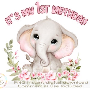 Erster Geburtstag Mädchen, PNG, Sublimation, 1. Geburtstag Mädchen, niedliches Baby Elefant, rosa und grün, digitaler Download, 1. Geburtstag PNG, Karte PNG