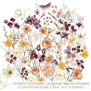 Pressed Flowers PNG, Weide, Wildflowers, Floral, Cottagecore Design, Boho Wildflowers, Botanisch, Natuur, Tuin, Downloaden, Sublimatie