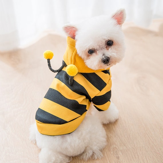 bumble bee dog costumes