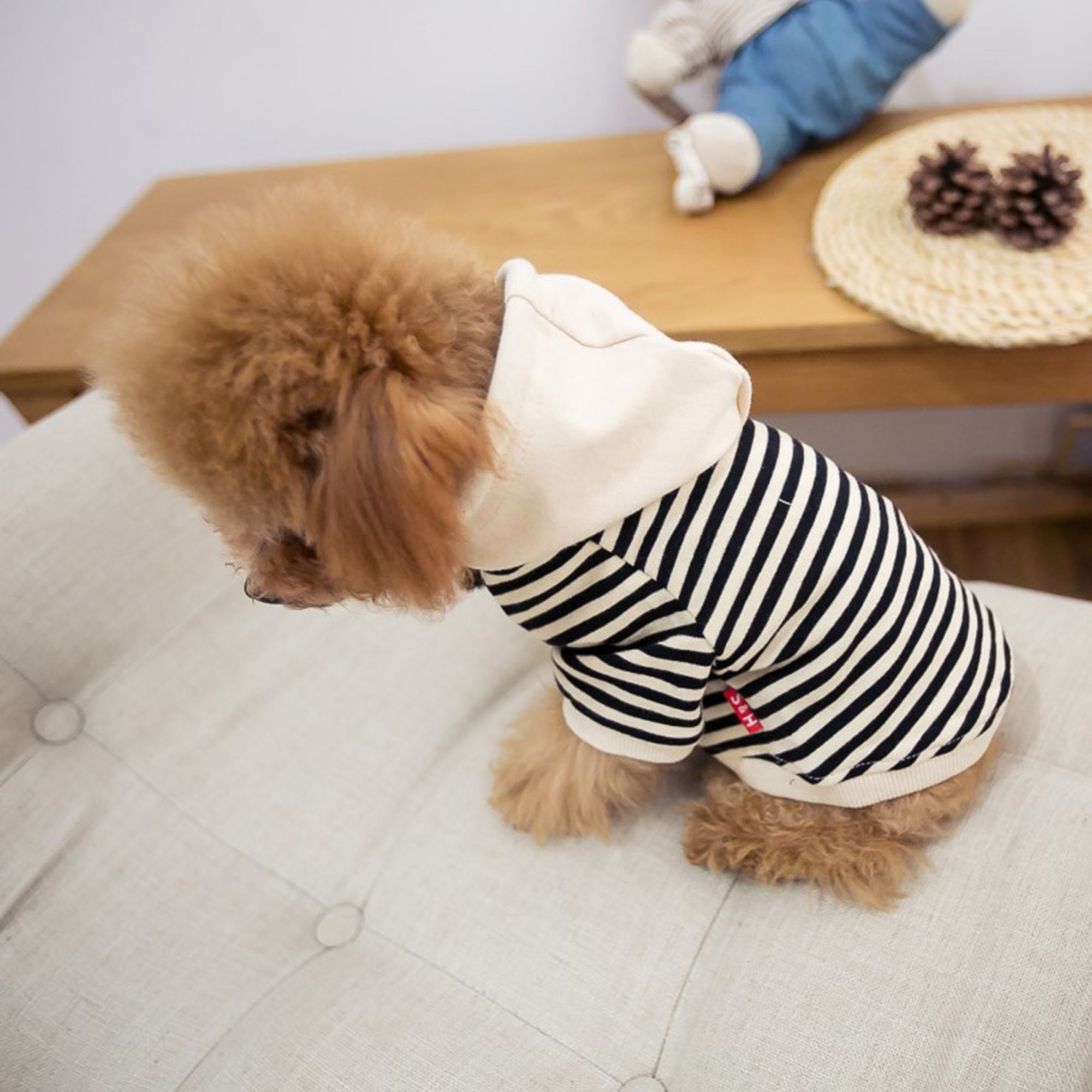 Matching Dogs and Owner Clothes Matching Adults and Dogs Etsy