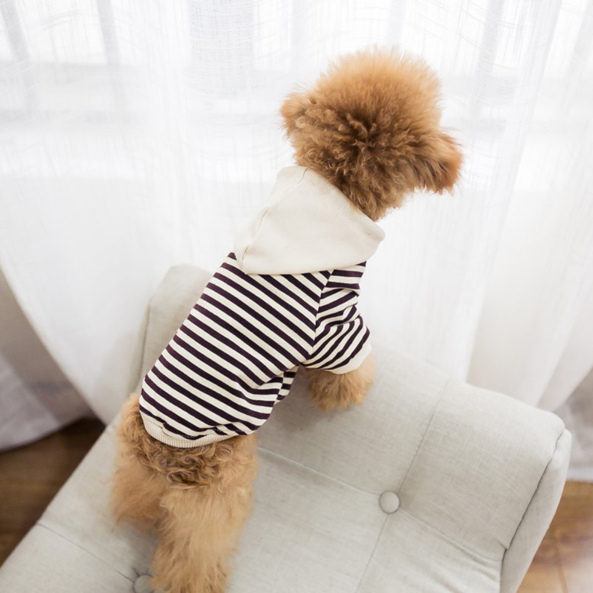 Matching Dogs and Owner Clothes Matching Adults and Dogs Etsy
